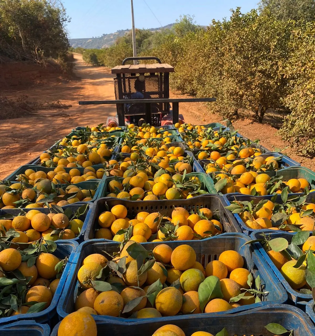 Vista da fazenda